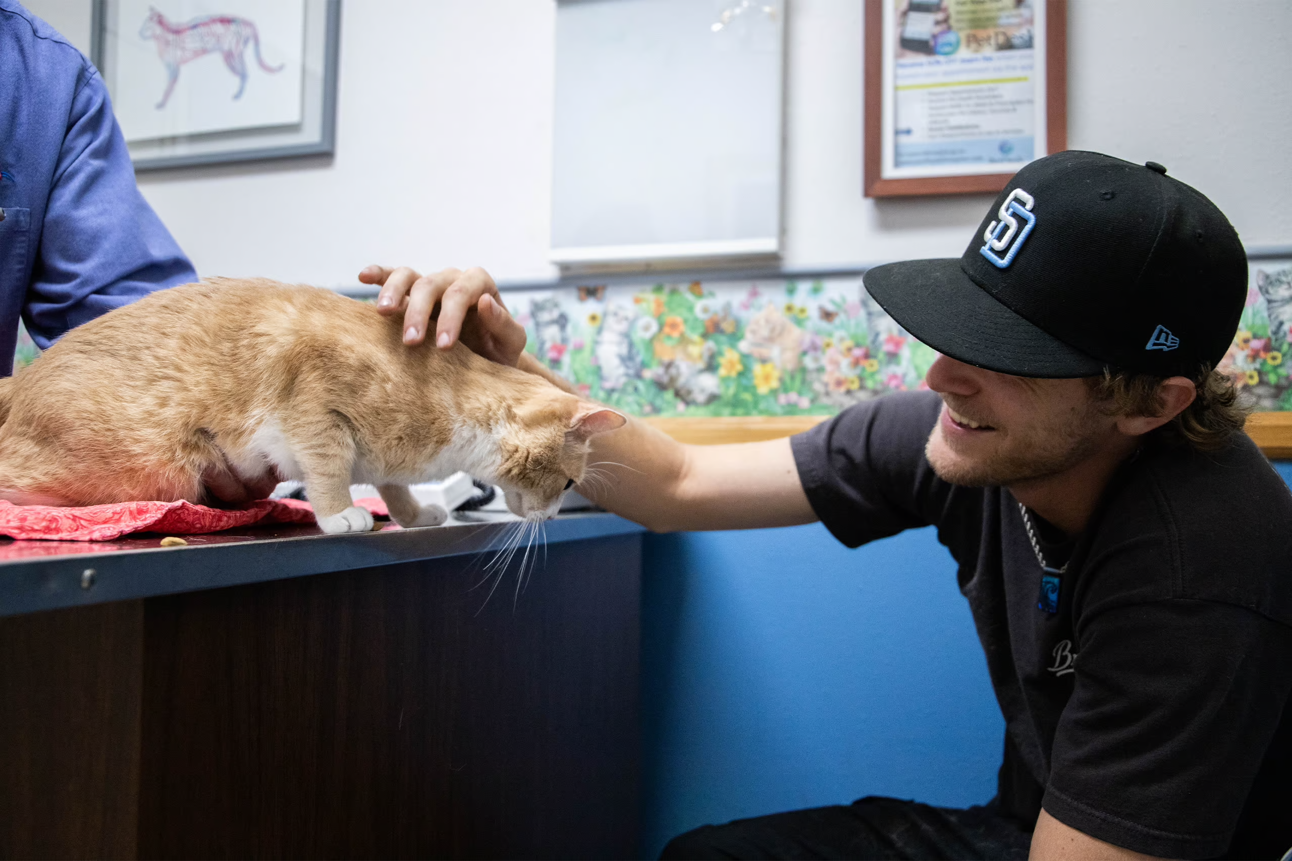 Client-happily-petting-cat-while-in-the-exam-room-with-veterinarian