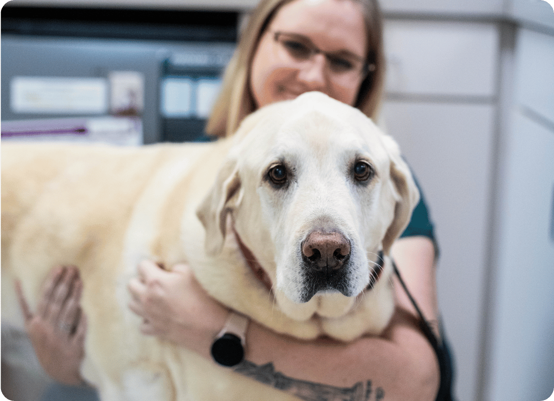 Vet tech happily holding a dog