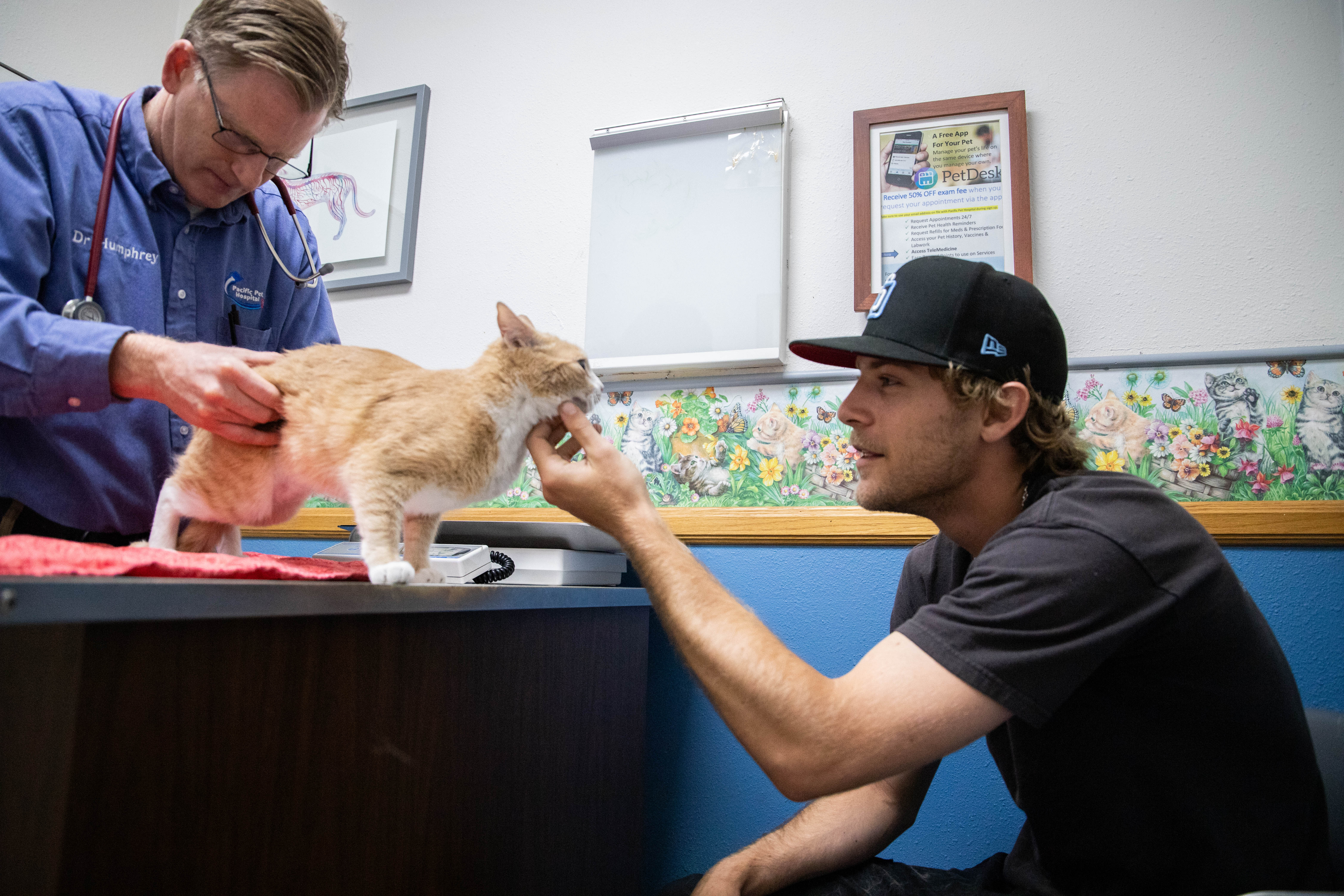 Pacific-Pet-Hospital-45